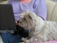 Klik op de foto voor groter formaat